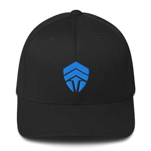 Chiefs Logo Flex Fit Baseball Cap